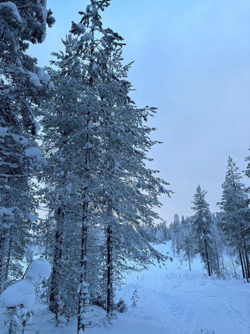 Toinen vuosikurssi taisteluharjoituksessa